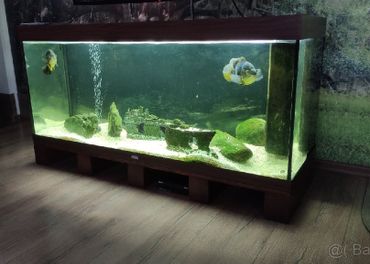 Akvárium Juvel 180 litrov